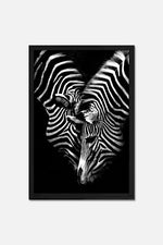 Zebras Poster Art Print