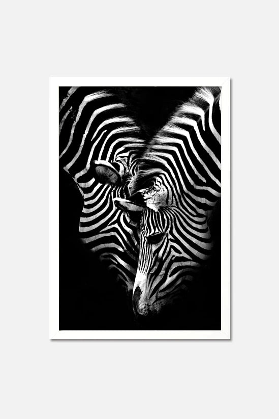 Zebras Poster Art Print