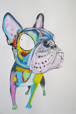 Colorful bull dog